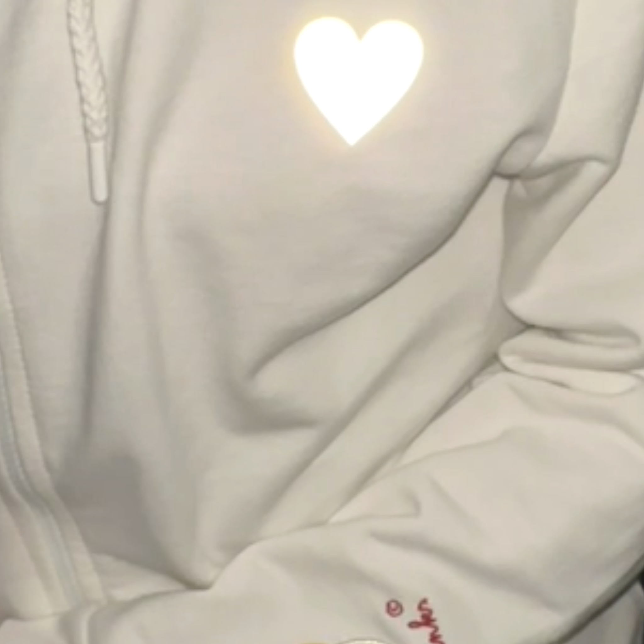 Adult Hoodie “Lefti Links”